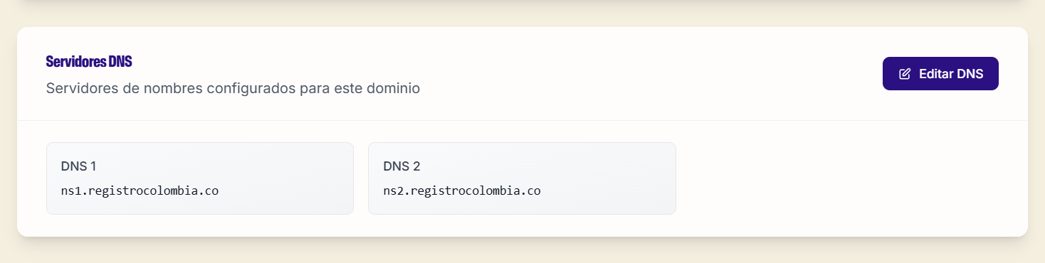 Edita los servidores DNS - Paso 3