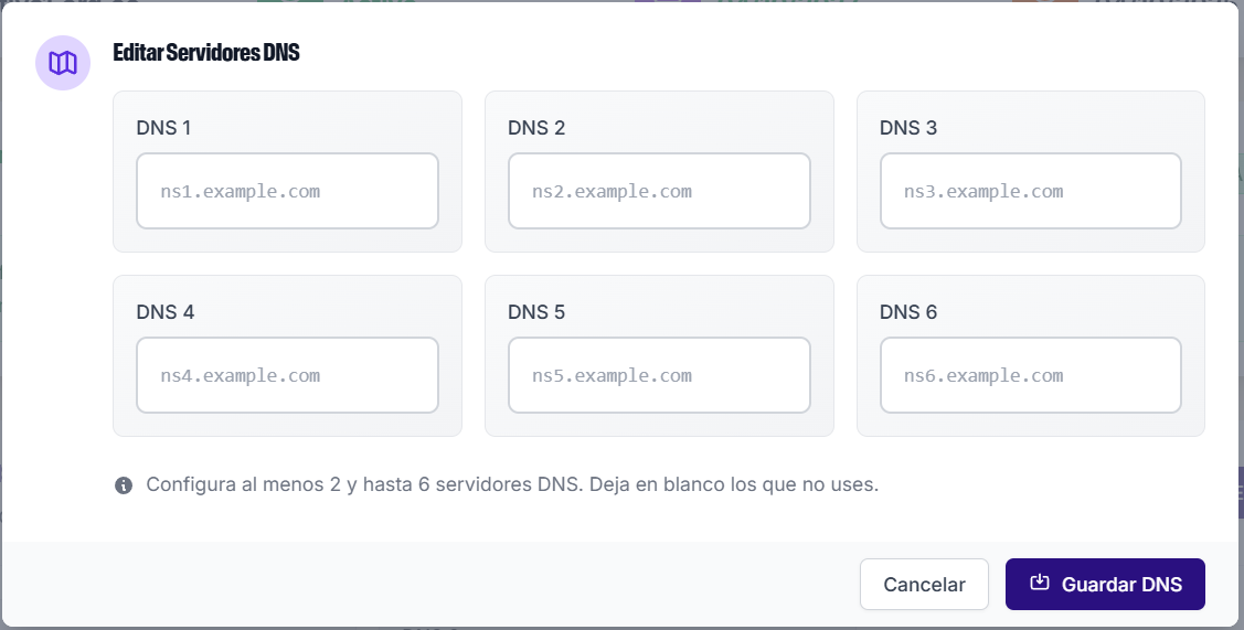Ingresa los nuevos DNS - Paso 4